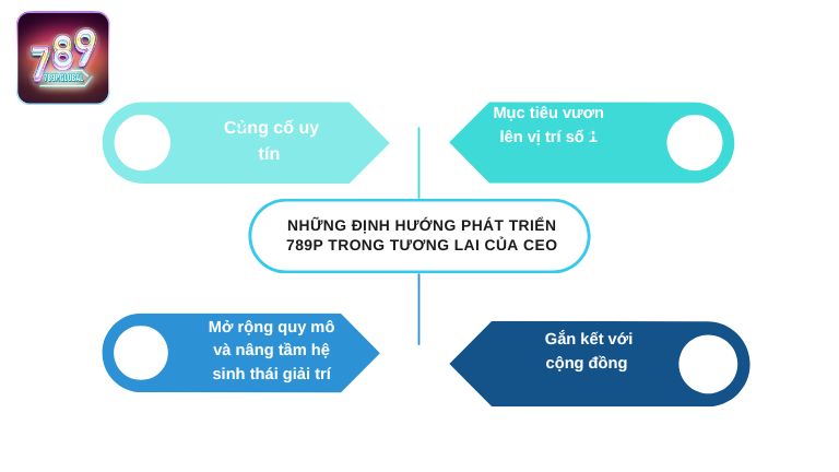 Những định hướng phát triển 789P trong tương lai của CEO