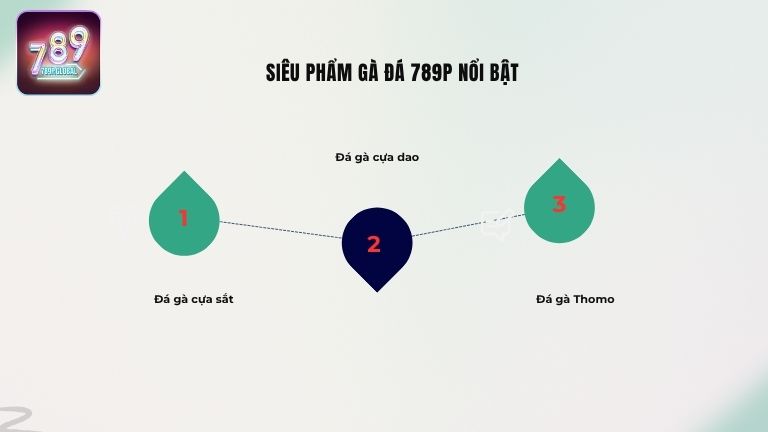 Siêu phẩm gà đá 789P nổi bật